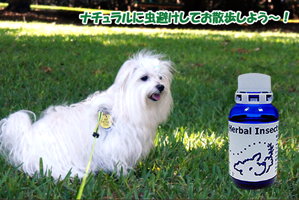 insectshield-coco-020714.jpg 赤ちゃんやパピーにも安心!爽やかなナチュラルハーブで安全に虫よけ ハーバルインセクトシールド (30ml)