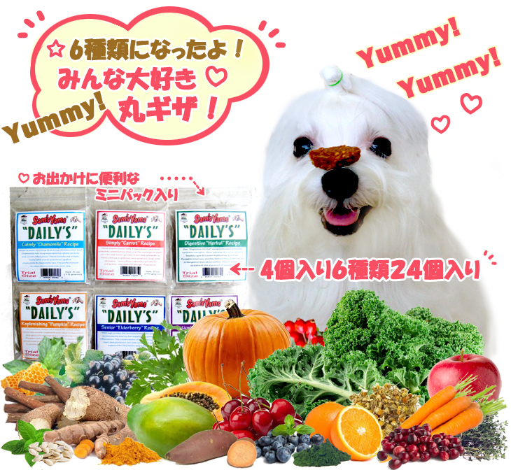 coco-yamcookie_varietypack.jpg