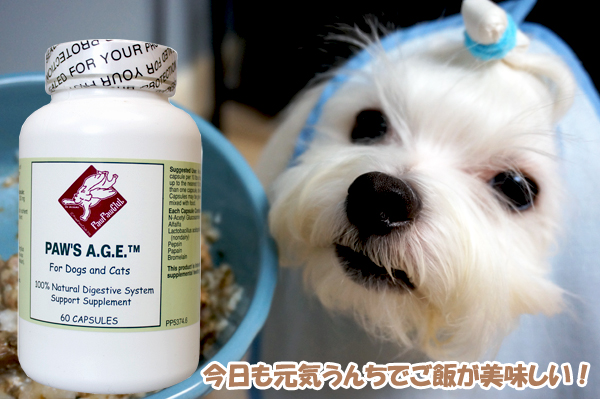 AGE-coco-043014.jpg AGE-coco-043014.jpg