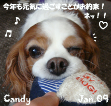 candy-012509.jpg
