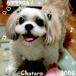 chataro-2006.jpg