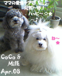 coco-milk-040708.jpg