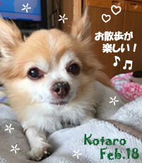 kotaro-022218-1.jpg