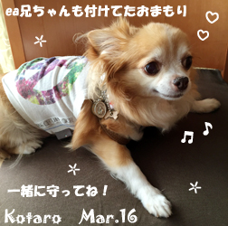 kotaro-030816-1.jpg