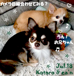 kotaro_ean-072518.jpg