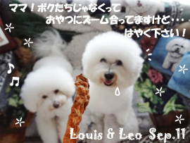 leo-louie-092511-2.jpg