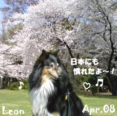 leon-041108.jpg