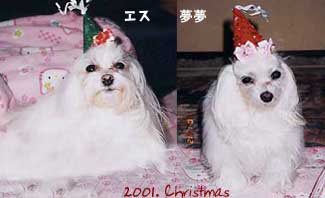 esu-mumu-christmas2001.jpg