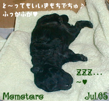 momotaro-towel.jpg