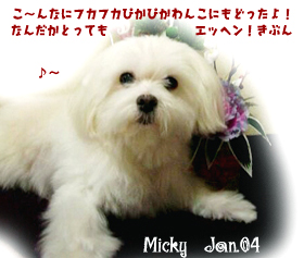 micky-2004.jpg