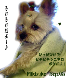 mikisuke-towel.jpg