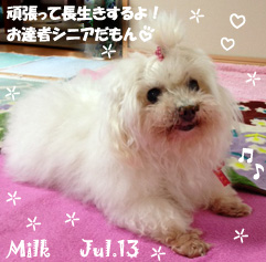 milk-070613.jpg