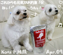 milk-kota-041909.jpg