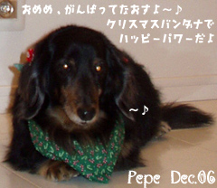 pepe-122506.jpg