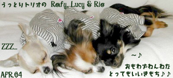 rafy-rio-lucy-lavenderoil.jpg