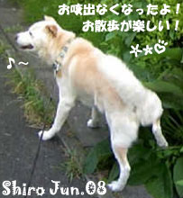 shiro-061708.jpg