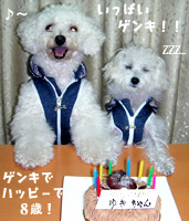 yuki_kotone/yuki-kotone-birthday.jpg