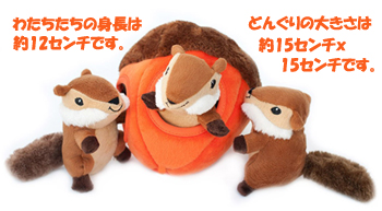 ZP-Chipmunk_%5C%27n_Acorn-size-350.jpg