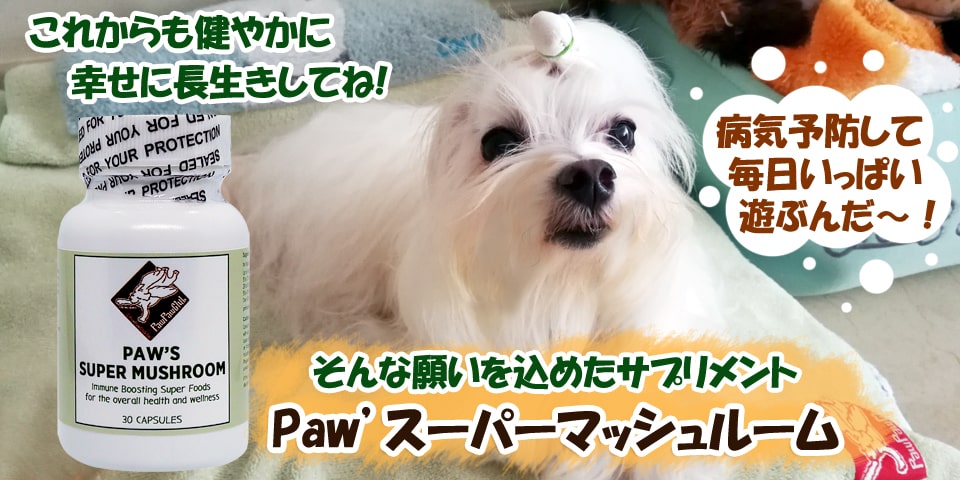 Paw's Super Mushroom