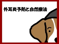 外耳炎予防と自然療法