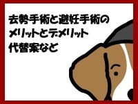去勢手術と避妊手術についての考察