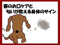 春のお口ケアと匂いでわかる身体のサイン