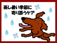 蒸し暑い季節を軽やかに過ごそう！