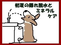 初夏の隠れ脱水とミネラルケア