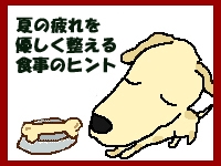 夏の疲れをやさしく整える食事のヒント