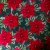 Green15-Poinsettia