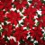 Red07-Poinsettia